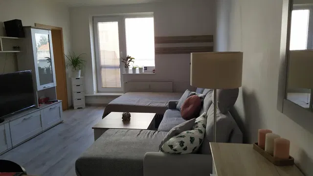 Living room; natural light, modern style