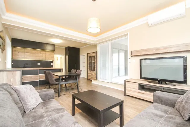 Living room; natural light, modern style, wood floor