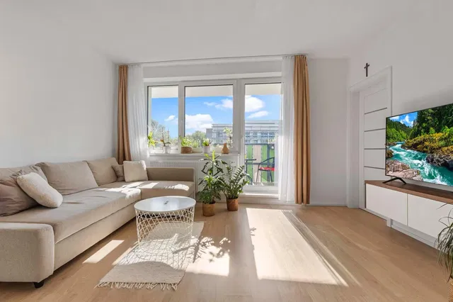 Living room; view, natural light, modern style, wood floor