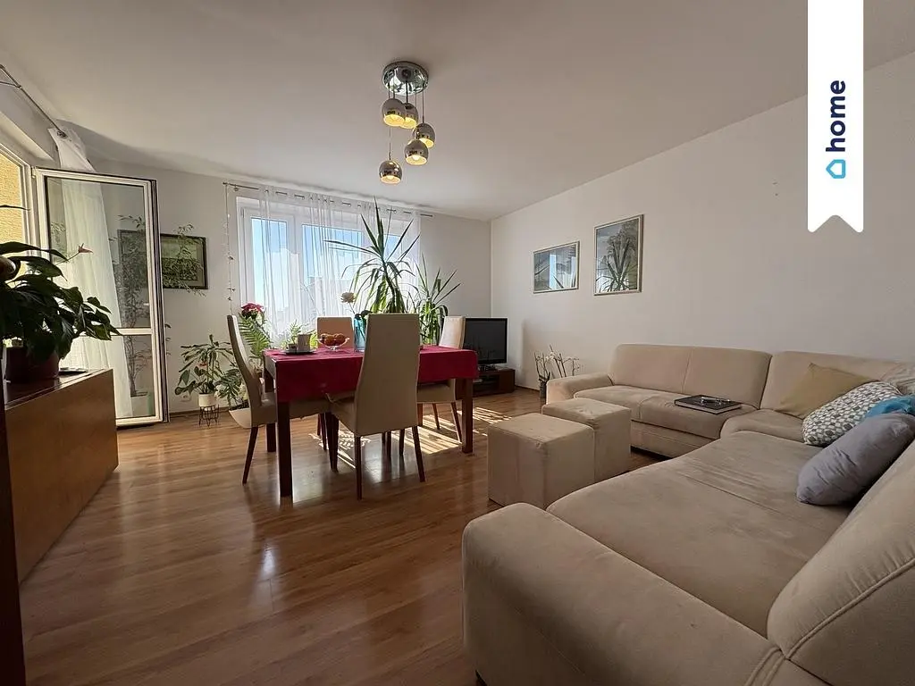 غرفة معيشة; ضوء طبيعي, أرضية خشبية, أسلوب عصري