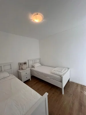 Diğer