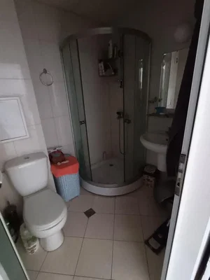 Diğer