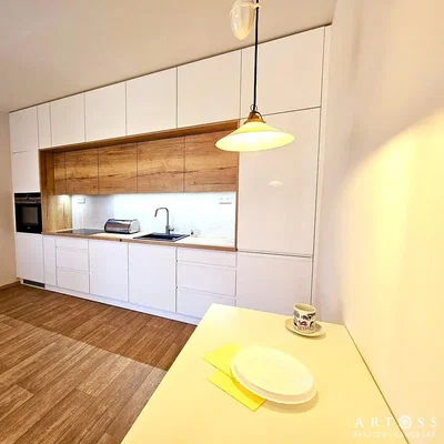 Mutfak; mutfak aletleri, tadilatlı, doğal ışık