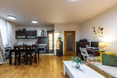 Woonkamer; keukenapparatuur, houten vloer, natuurlijk licht, moderne stijl