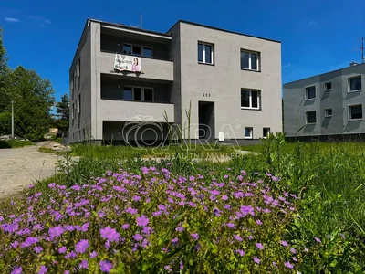 Haus und umgebung; blick