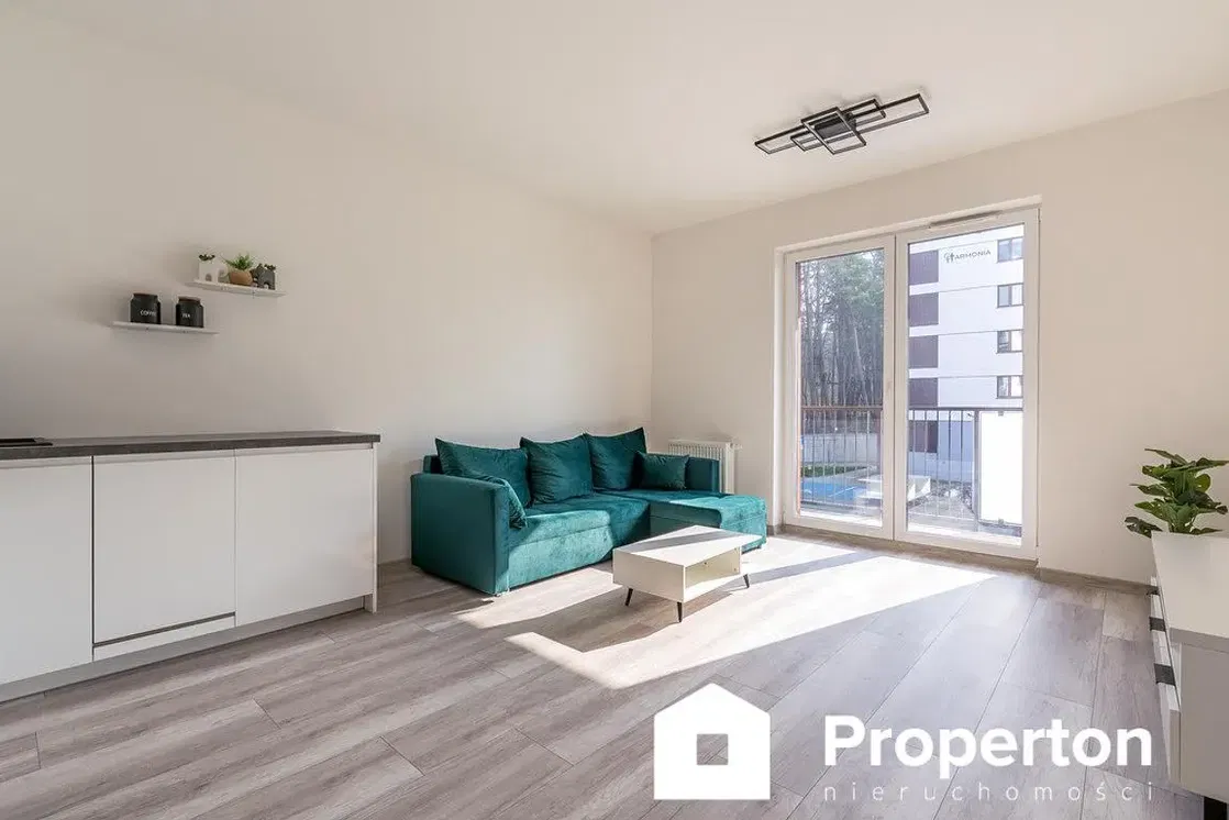 Salon; vue, lumière naturelle