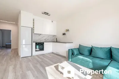 Salon; style moderne, parquet, lumière naturelle, rénové