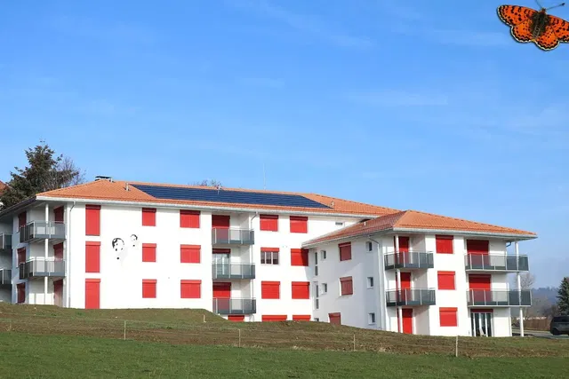 House and surroundings