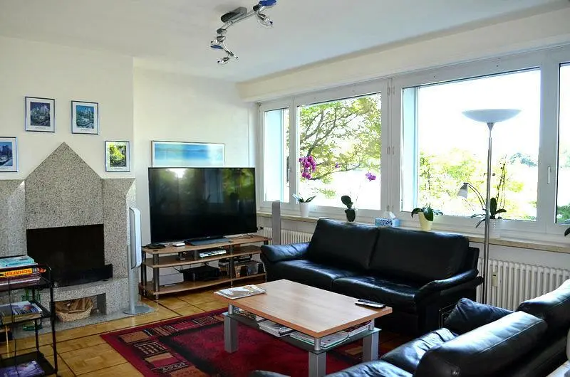 Woonkamer; natuurlijk licht, open haard, moderne stijl