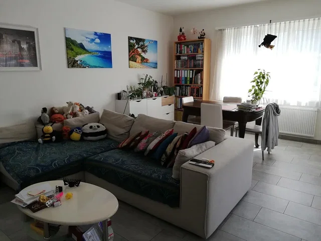 Sala de estar; estilo moderno, luz natural, chão de madeira