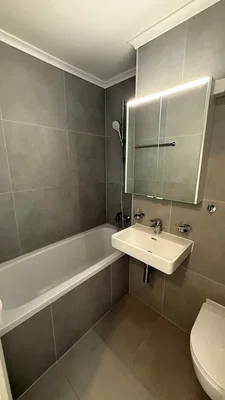 Kupaonica; pločice, renoviran, prirodna svjetlost, moderan stil
