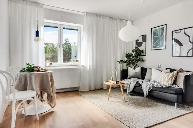 Salon; lumière naturelle, style moderne, parquet