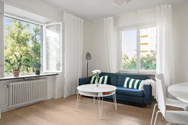 Living room; view, natural light, modern style, wood floor