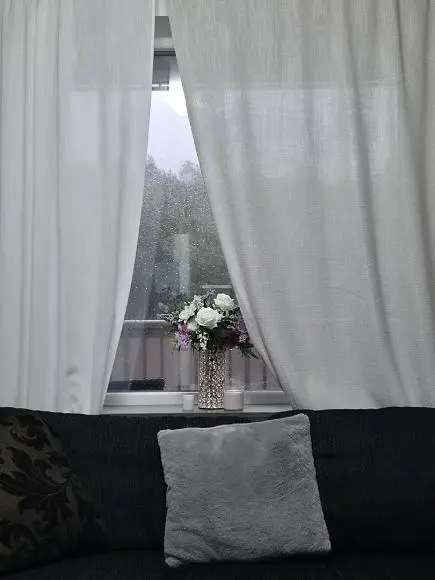 Wohnzimmer; blick, tageslicht