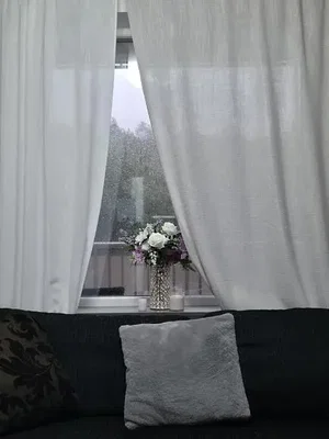 Wohnzimmer; blick, tageslicht