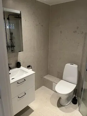 Toilette; fliesenboden, renoviert, tageslicht, moderner stil