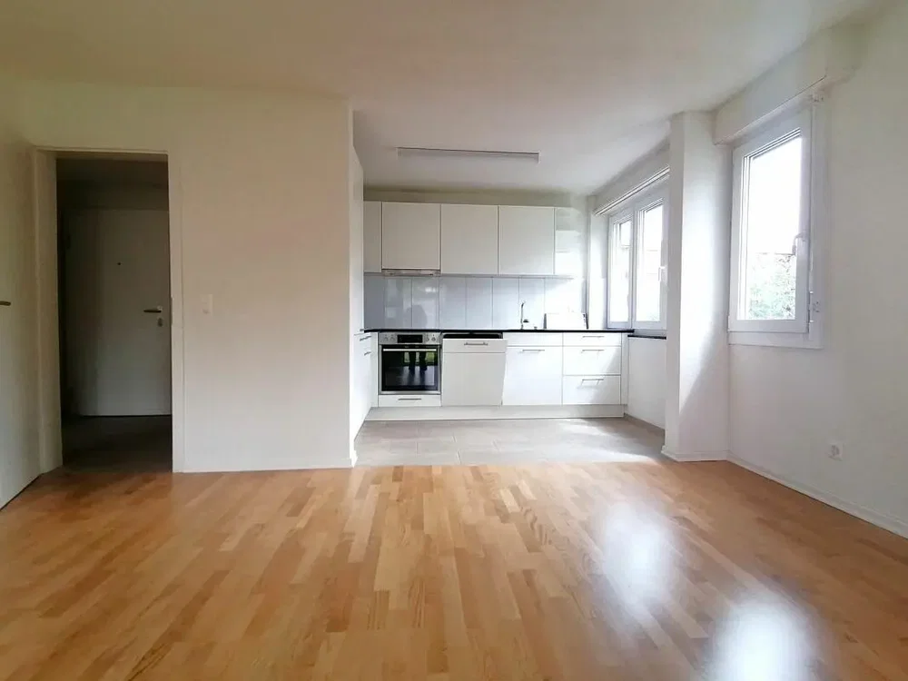 Cuisine; électroménager, parquet, lumière naturelle, style moderne