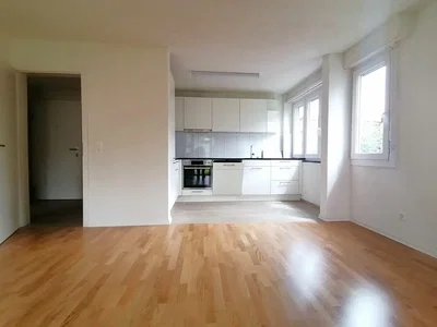 Cuisine; électroménager, parquet, lumière naturelle, style moderne