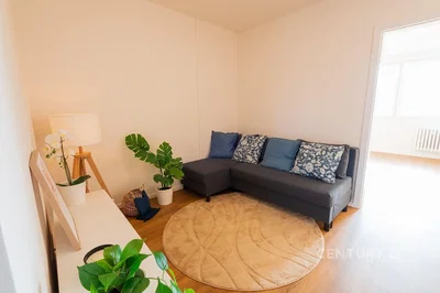 Wohnzimmer; tageslicht, moderner stil