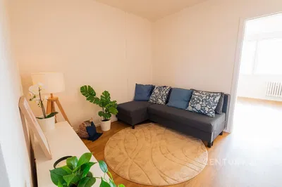 Wohnzimmer; tageslicht, moderner stil