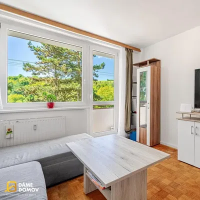 Wohnzimmer; blick, tageslicht