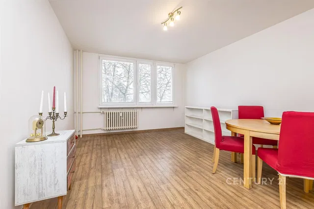 Wohnzimmer; holzboden, tageslicht