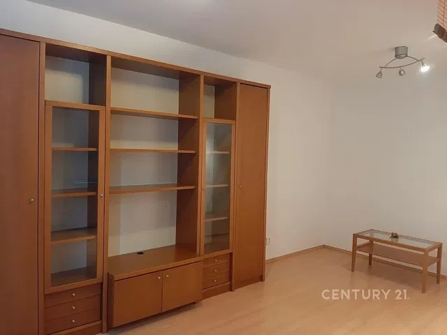 Salon; parquet, style moderne