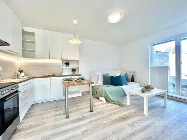 Wohnzimmer; küchengeräte, tageslicht, moderner stil