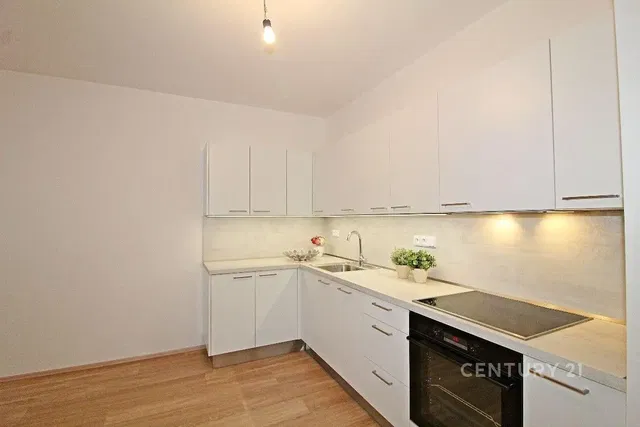 Kuhinja; kućanski aparati, prirodna svjetlost, moderan stil, renoviran