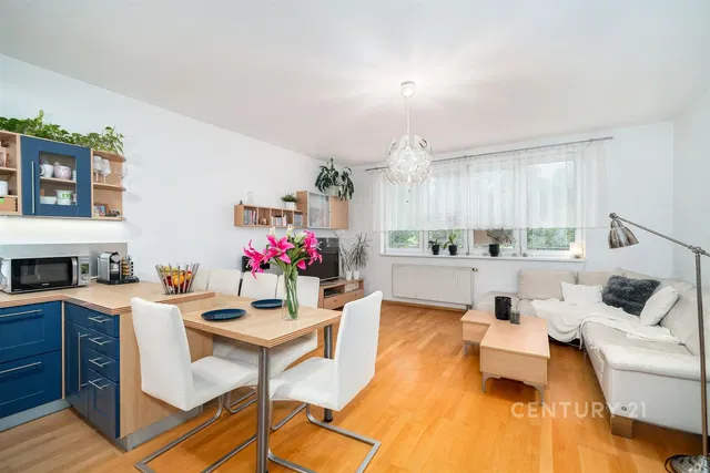 Salon; lumière naturelle, style moderne, parquet