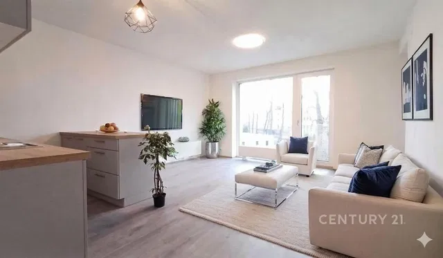 Woonkamer; uitzicht, natuurlijk licht, moderne stijl