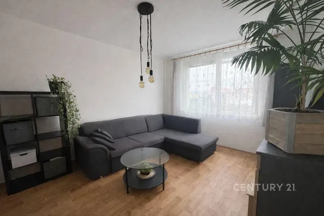 Salon; światło dzienne, podłoga drewniana, styl nowoczesny