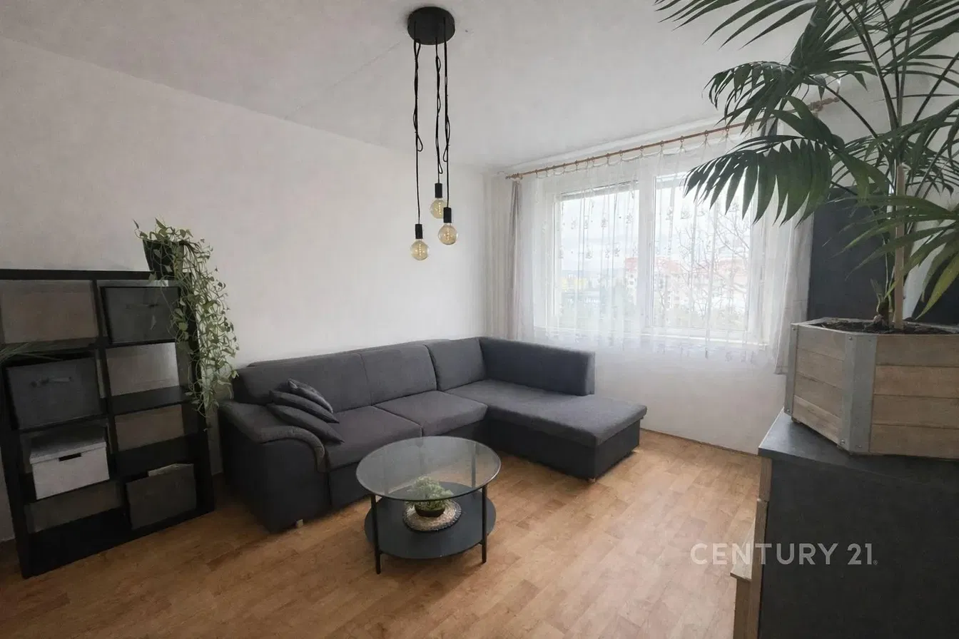 Dnevni boravak; prirodna svjetlost, drveni pod, moderan stil