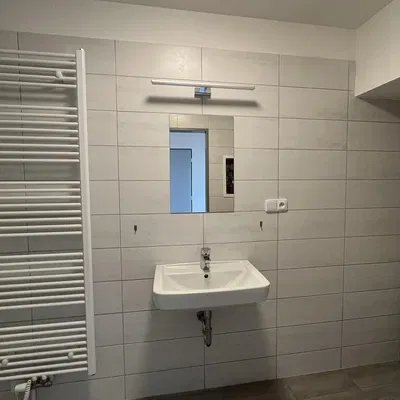 Kupaonica; pločice, renoviran, prirodna svjetlost, moderan stil