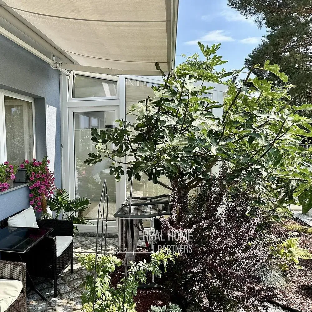 Terrasse; blick, tageslicht