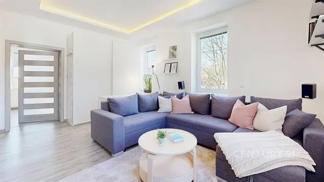 Дневна соба; природно светло, модерни стил