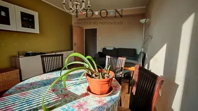 Wohnzimmer; tageslicht