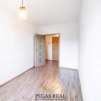 Sonstiges; holzboden, tageslicht