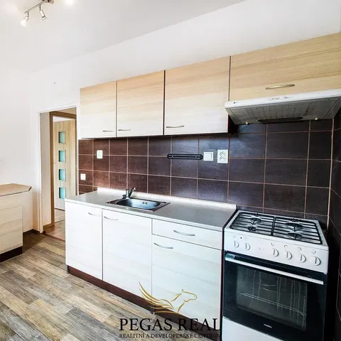 Küche; küchengeräte, renoviert, tageslicht