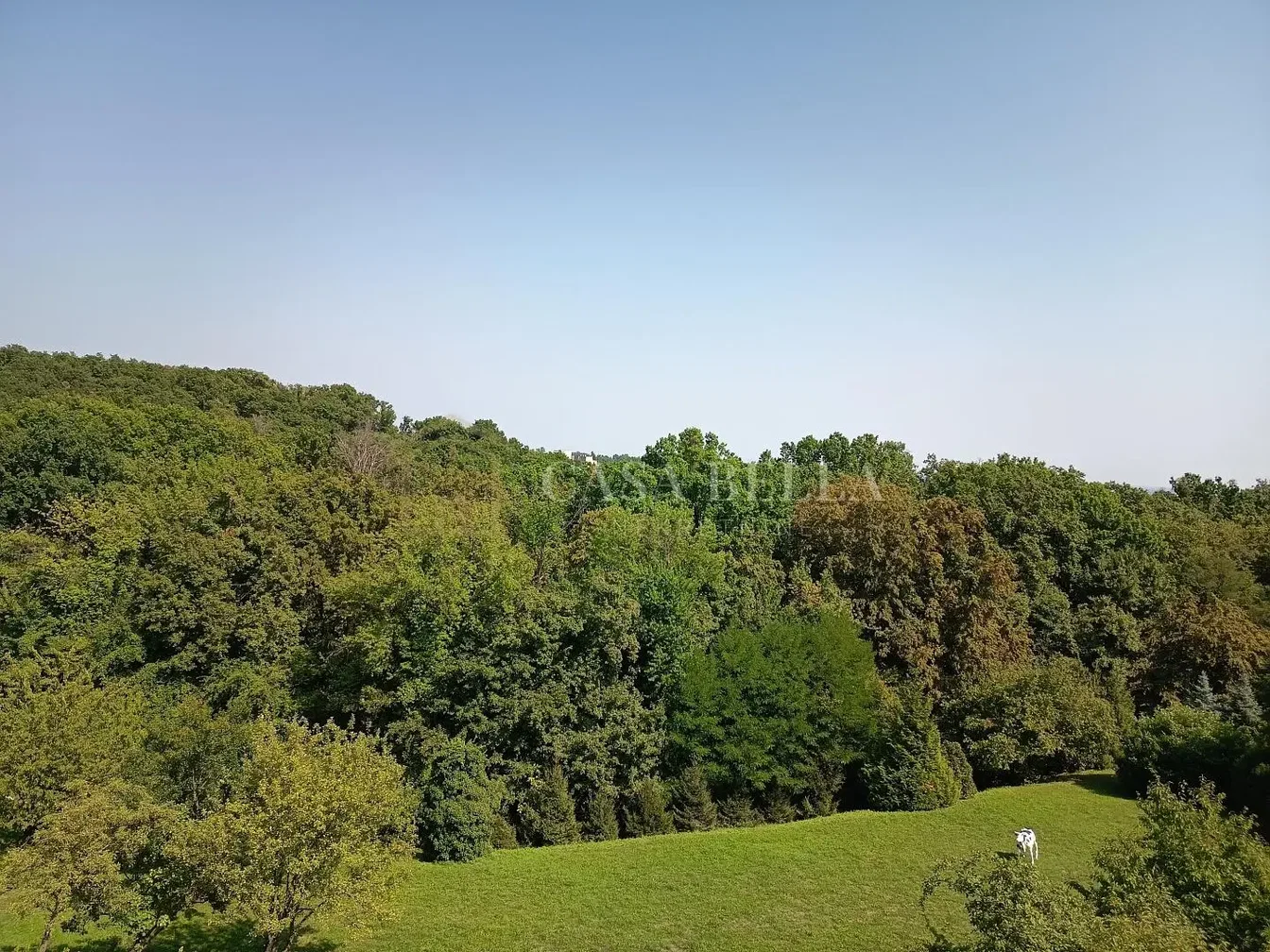 Dům a okolí; výhled, přirozené světlo