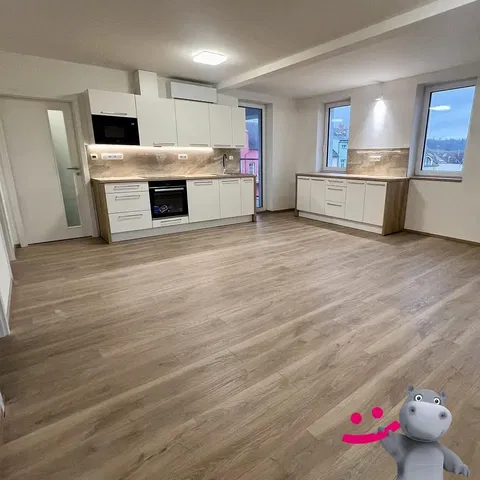 Kuhinja; kuhinjski aparati, prirodno svjetlo, moderni stil, drveni pod