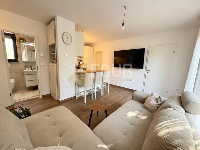 Salon; lumière naturelle, style moderne