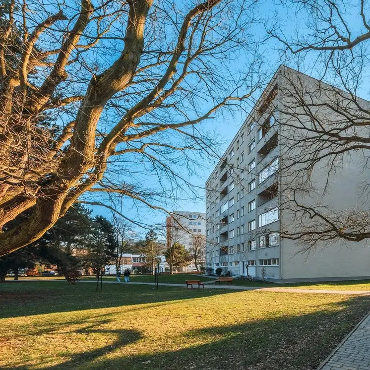 Casa e dintorni; vista