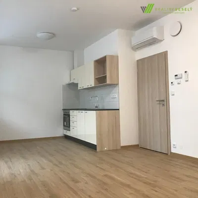 Cucina; elettrodomestici, pavimento in legno, ristrutturato, luce naturale