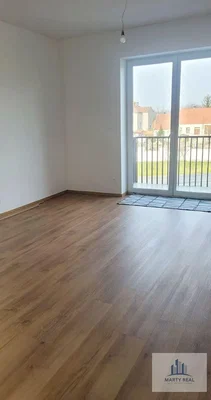 Salon; vue, parquet, lumière naturelle