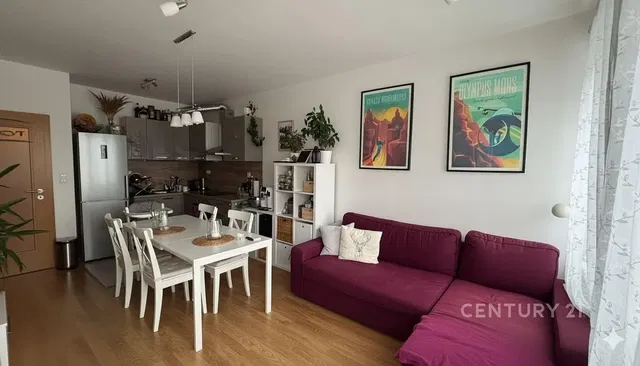 Living room; modern style, wood floor, natural light