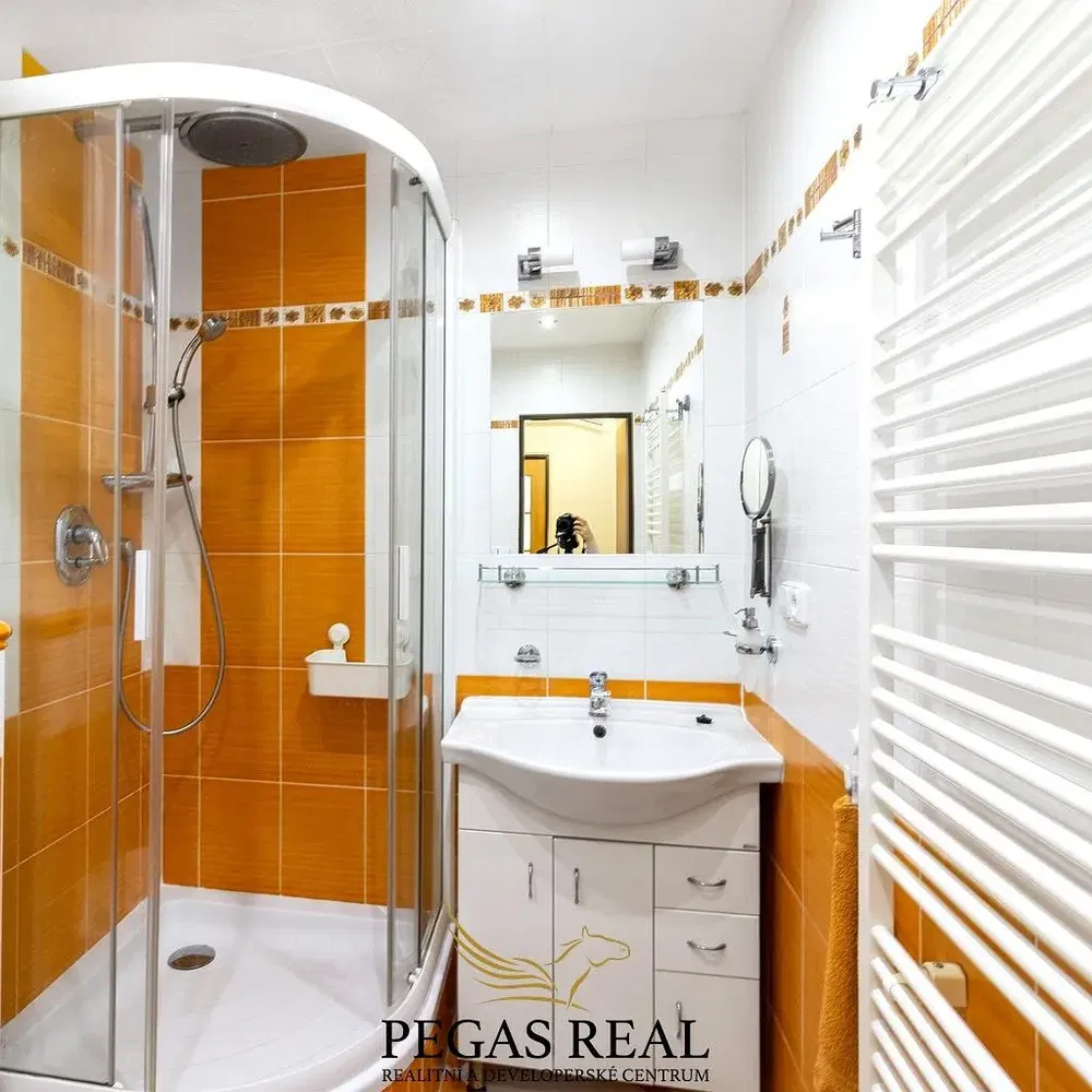 Banyo; fayans zemin, doğal ışık, tadilatlı