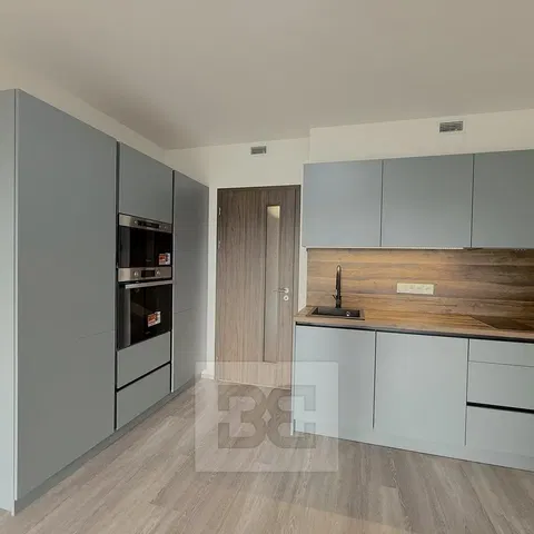 Kitchen; kitchen appliances, renovated