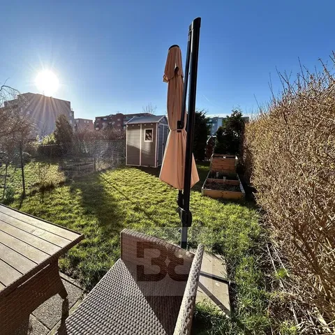 House and surroundings; view, natural light