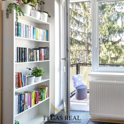 Wohnzimmer; blick, tageslicht